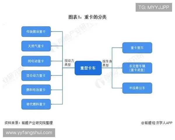 聚焦绿茵巨星成长路径全面解析足球运动员职业发展全景图谱深度研