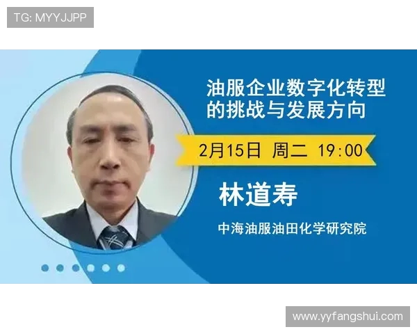 专业解析LNG市场转型策略与未来发展趋势探讨