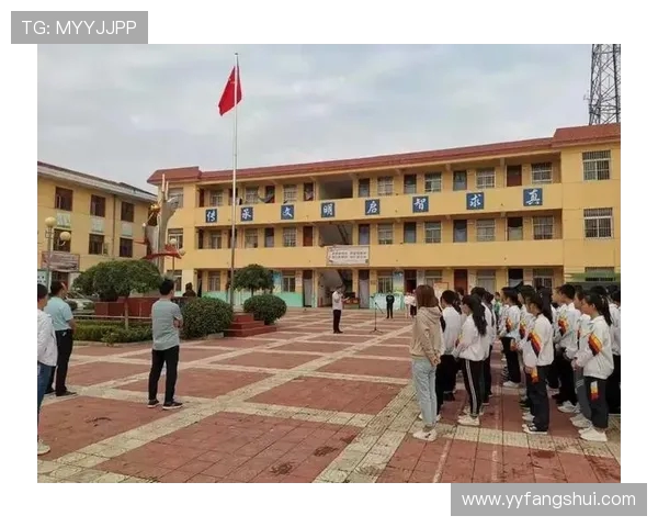 对话李敏：回顾我的排球生涯与奋斗历程的点滴分享