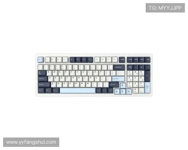 提升游戏体验的机械键盘推荐助你在英雄联盟中称霸战场