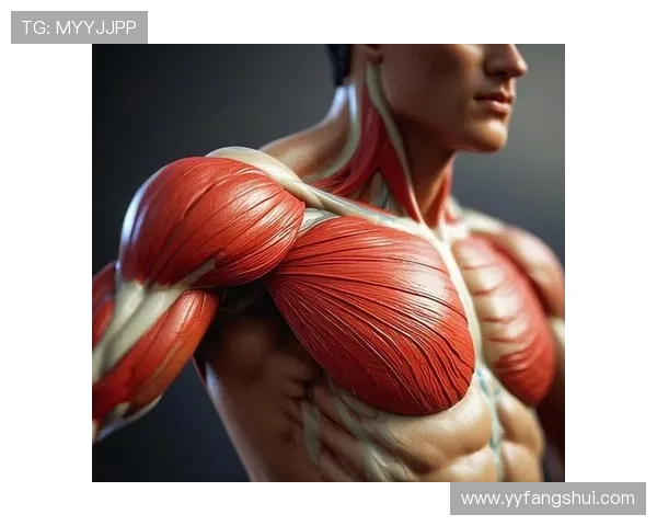 提升肌肉力量与体能耐力的全面健身方案助你塑造理想身材和健康体魄 提升肌肉力量与体能耐力的全面健身方案助你塑造理想身材和健康体魄