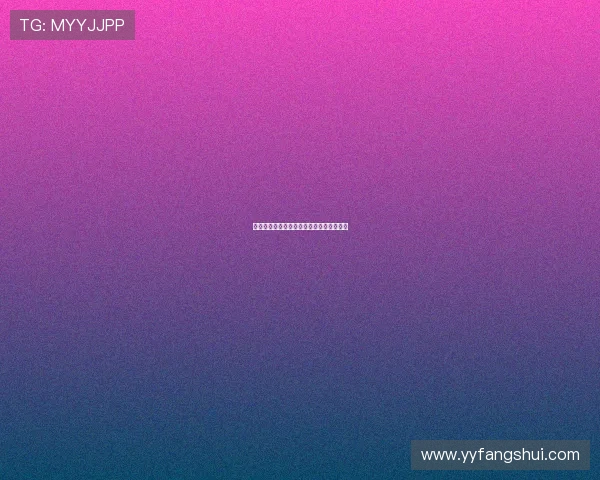 坎特的篮球传奇之路与人生哲学的深刻启示